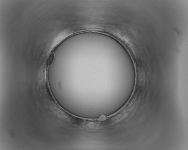 X0000113261365200910011358