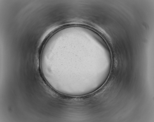 X0000113261368200910011358