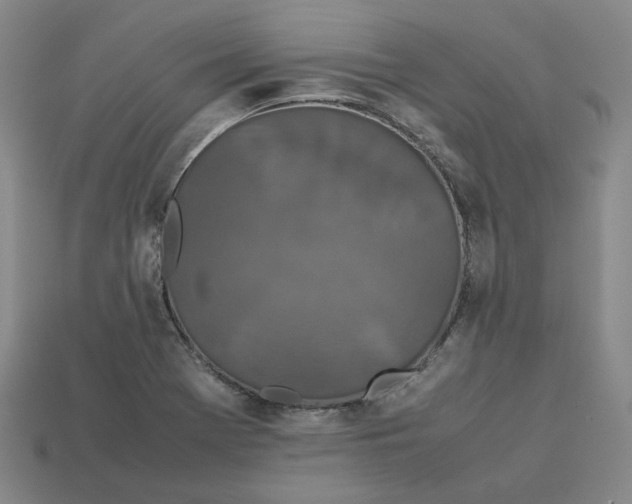 X0000113261369200910011358