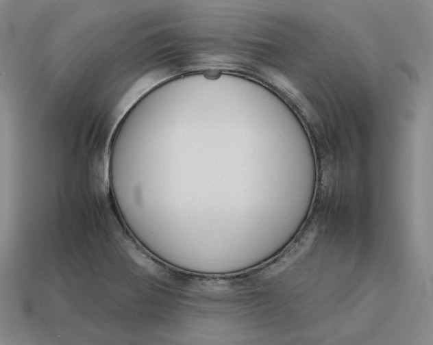 X0000113261370200910011358