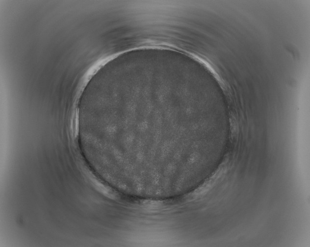 X0000113261371200910011358