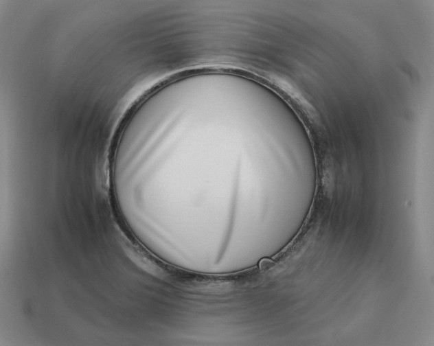 X0000113261372200910011358