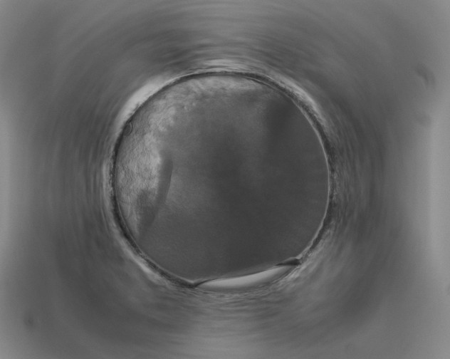 X0000113261373200910011358