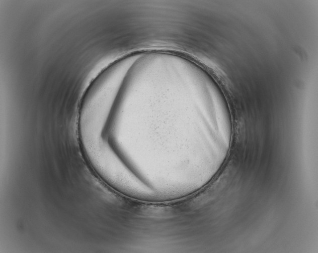 X0000113261374200910011358