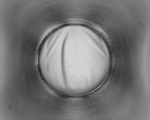 X0000113261376200910011358