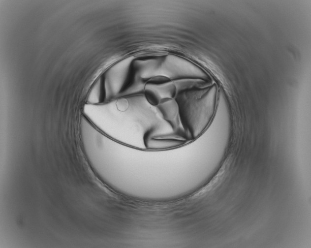 X0000113261377200910011358