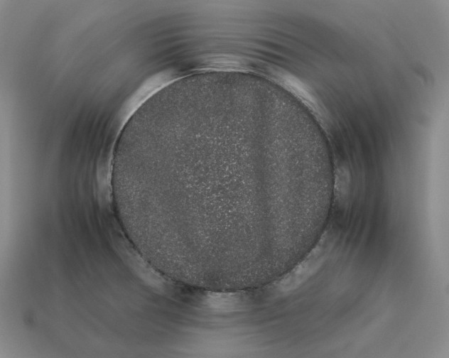 X0000113261378200910011358