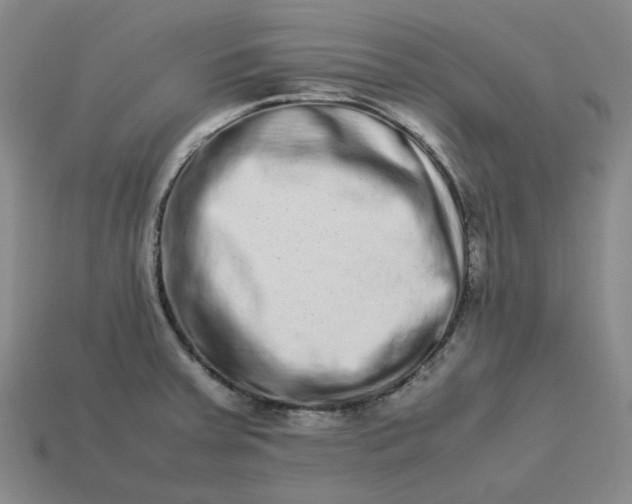 X0000113261379200910011358