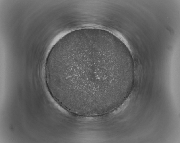 X0000113261381200910011358