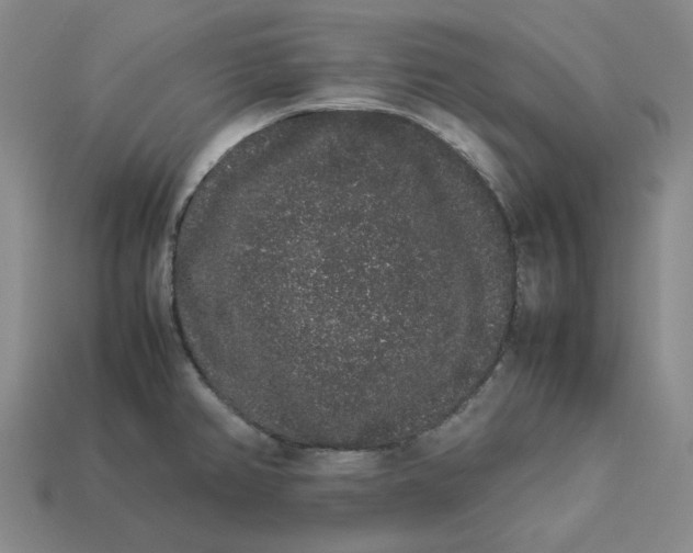 X0000113261382200910011358