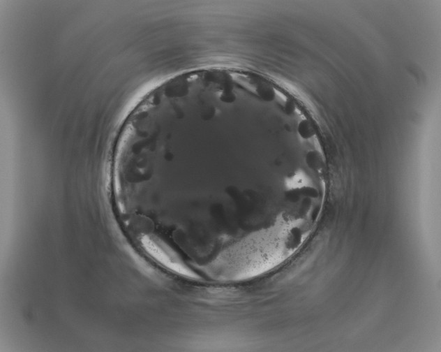 X0000113261383200910011358