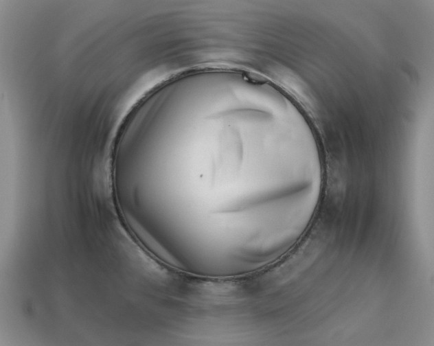 X0000113261384200910011358