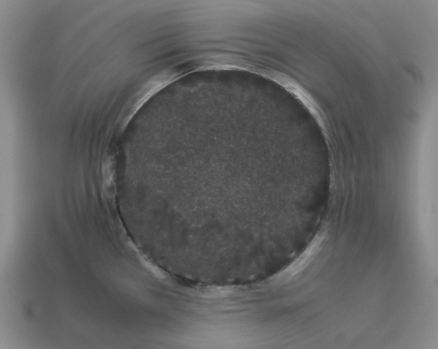 X0000113261385200910011358