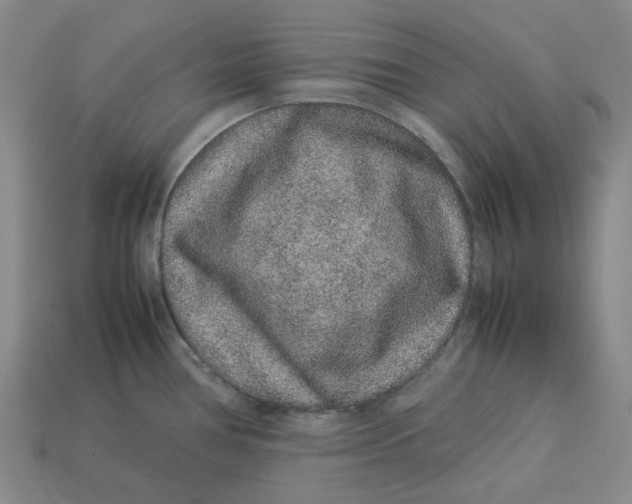 X0000113261386200910011358