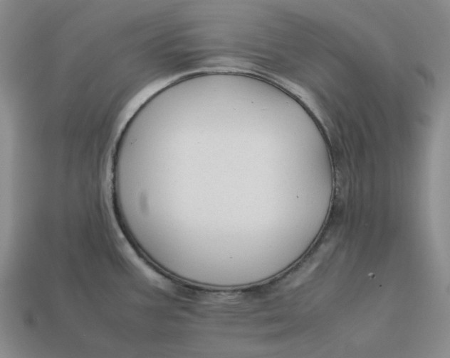 X0000113261387200910011358