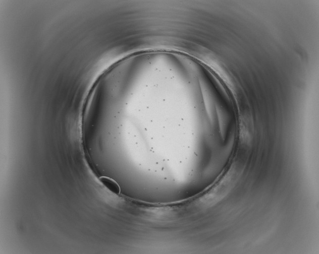 X0000113261388200910011358