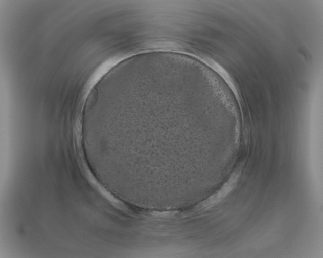 X0000113261389200910011358