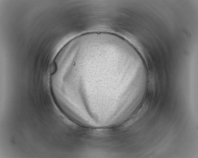 X0000113261390200910011358