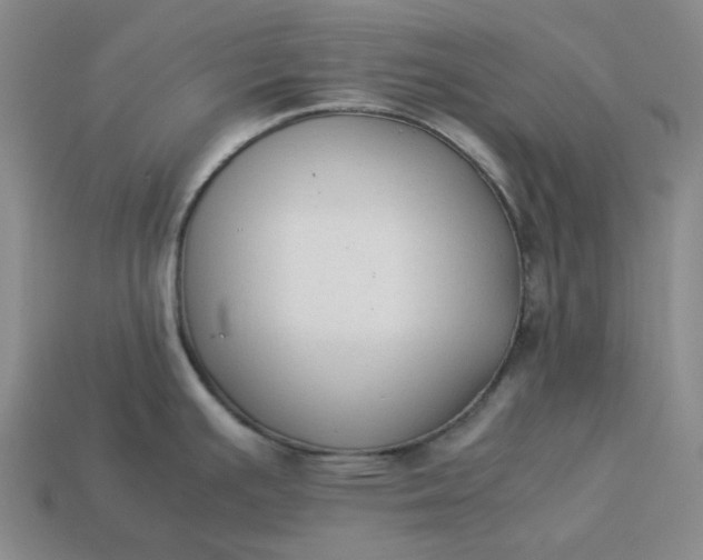 X0000113261391200910011358