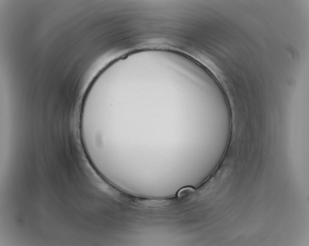 X0000113261392200910011358