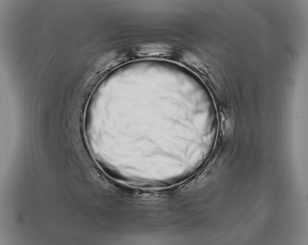 X0000113261393200910011357