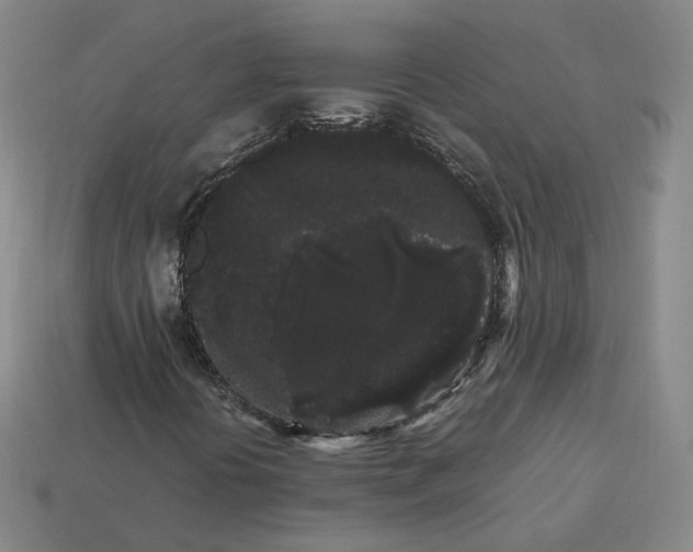 X0000113261394200910011357