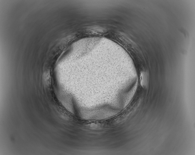 X0000113261395200910011357