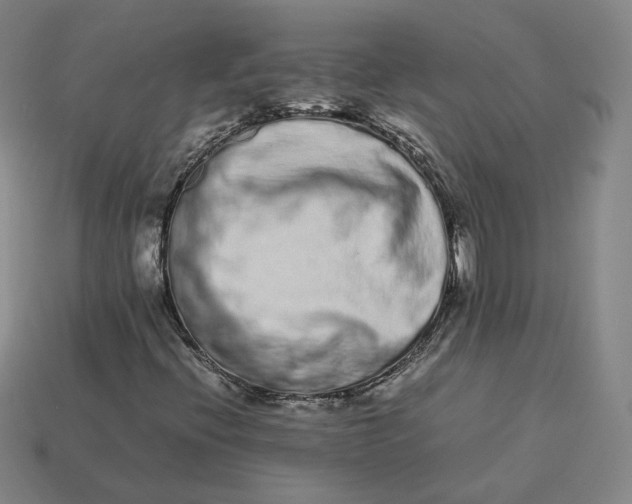 X0000113261396200910011357