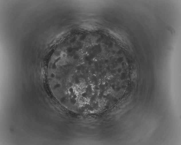 X0000113261397200910011357