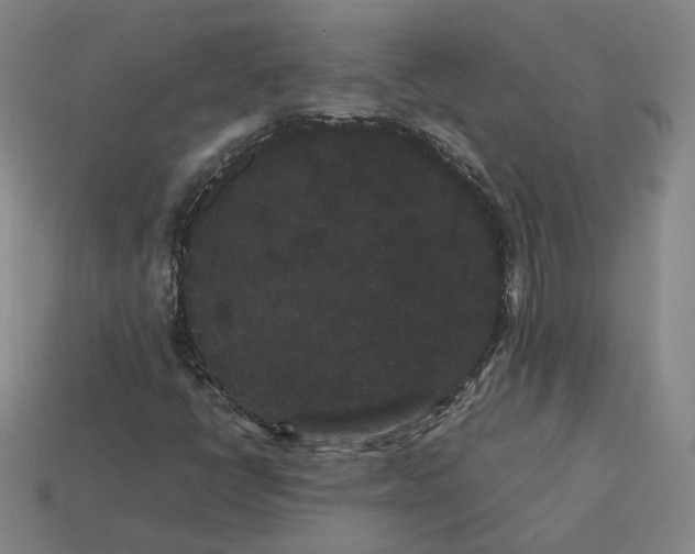 X0000113261398200910011357