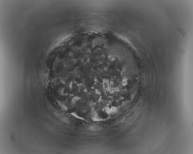 X0000113261399200910011357