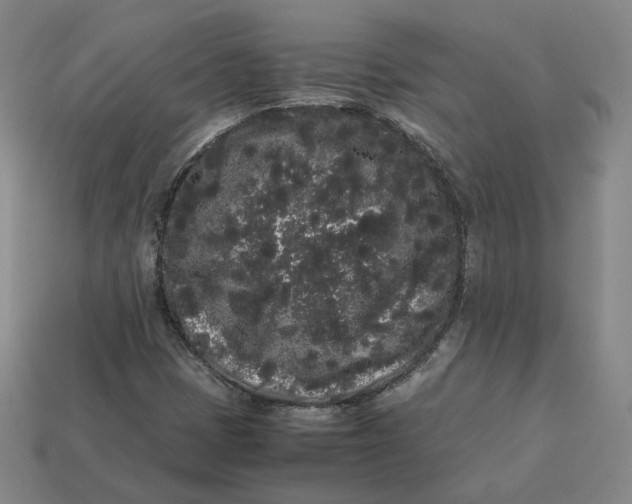 X0000113261401200910011357