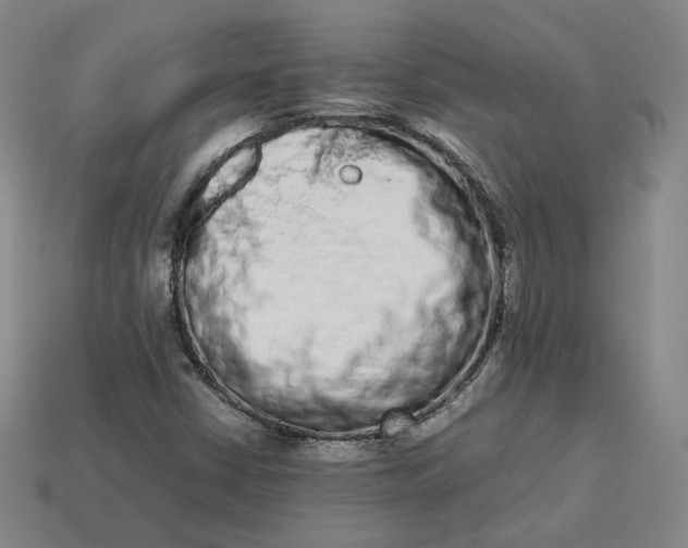 X0000113261402200910011357