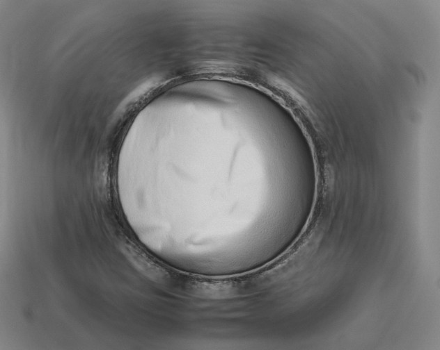 X0000113261403200910011357