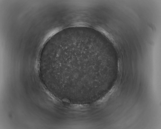 X0000113261405200910011357