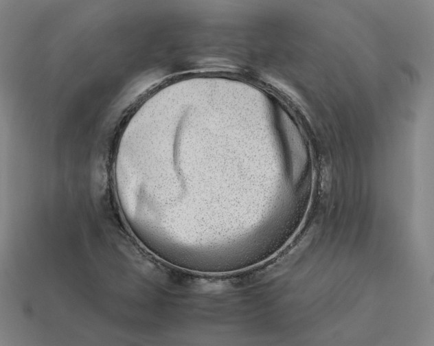 X0000113261407200910011358