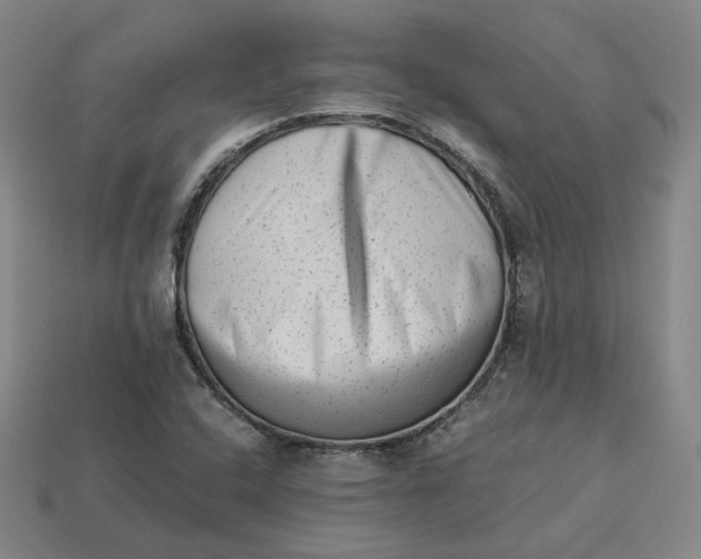 X0000113261408200910011358