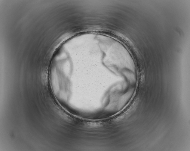 X0000113261409200910011358