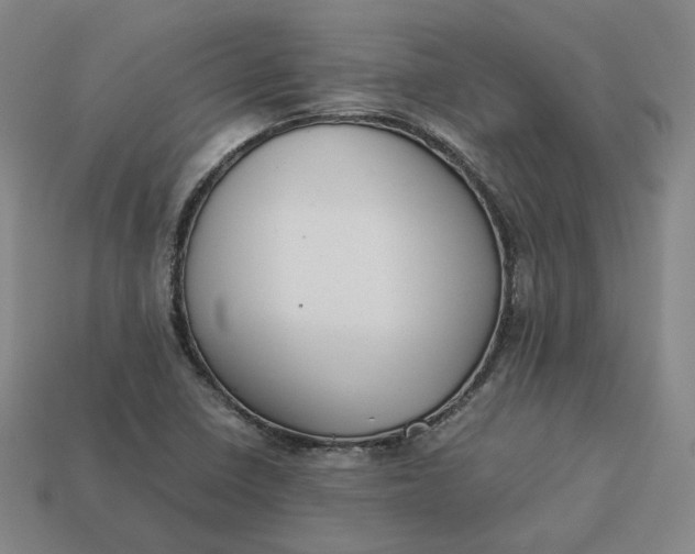 X0000113261410200910011358