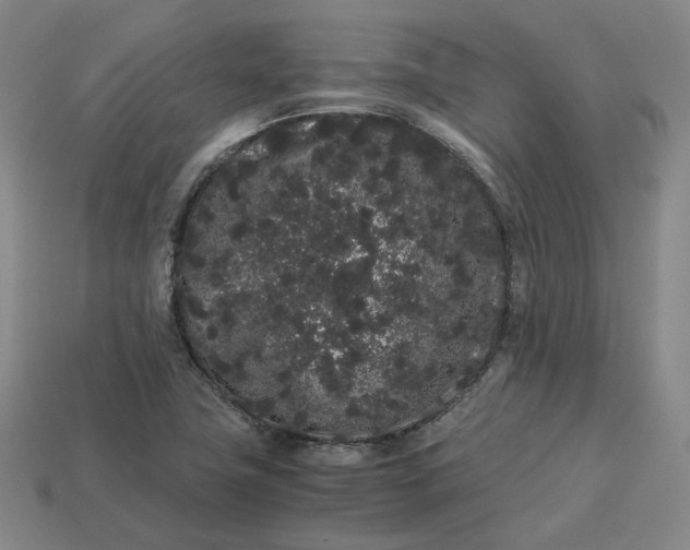 X0000113261411200910011358