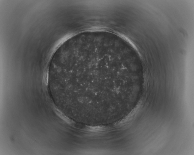 X0000113261413200910011358