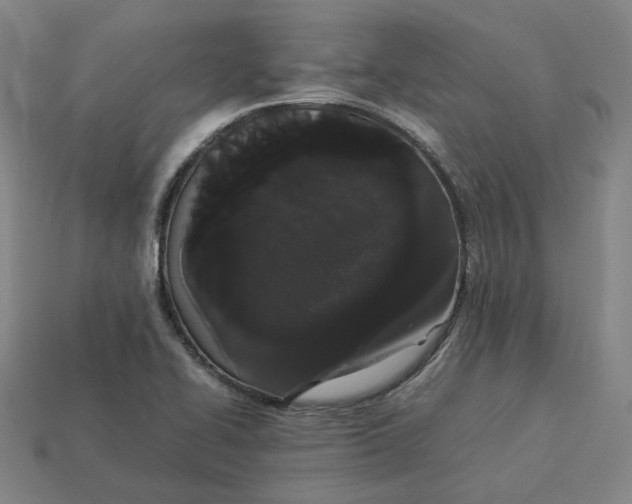 X0000113261414200910011358