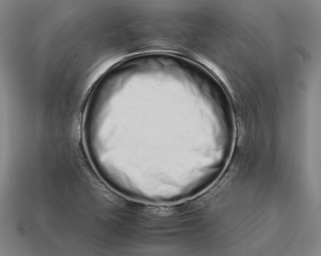 X0000113261415200910011358