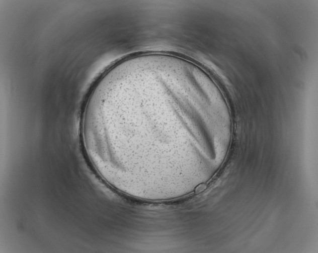 X0000113261416200910011358