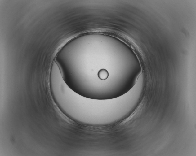 X0000113261417200910011358