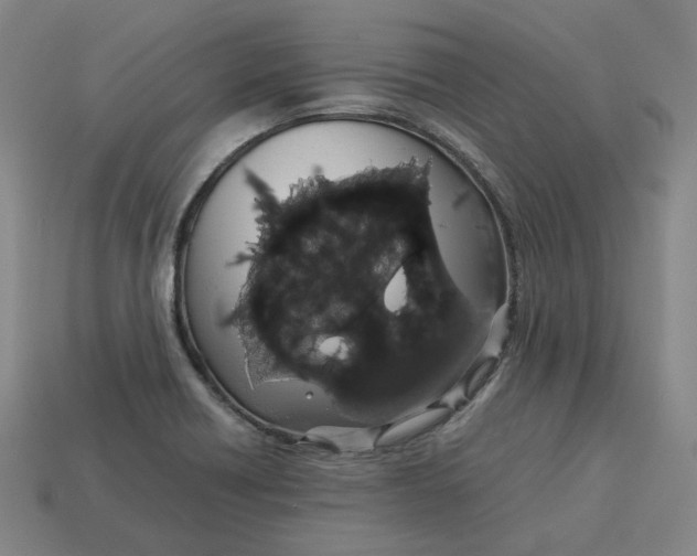 X0000113261418200910011358