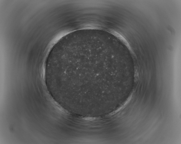 X0000113261419200910011358