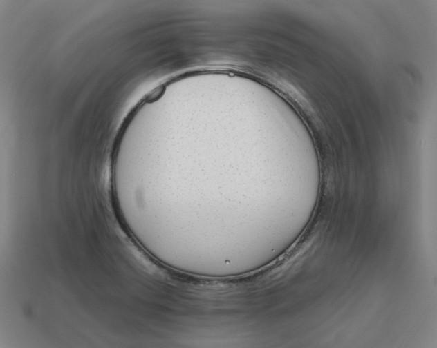 X0000113261420200910011358