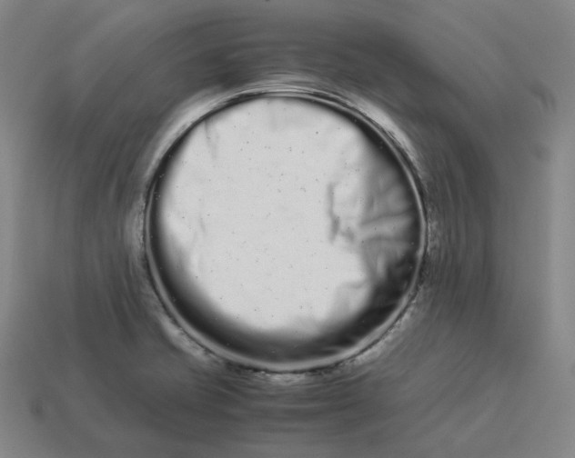 X0000113261421200910011358