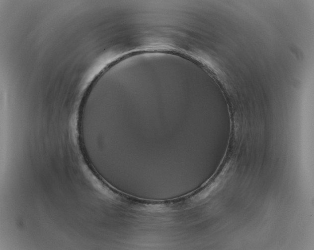 X0000113261422200910011358